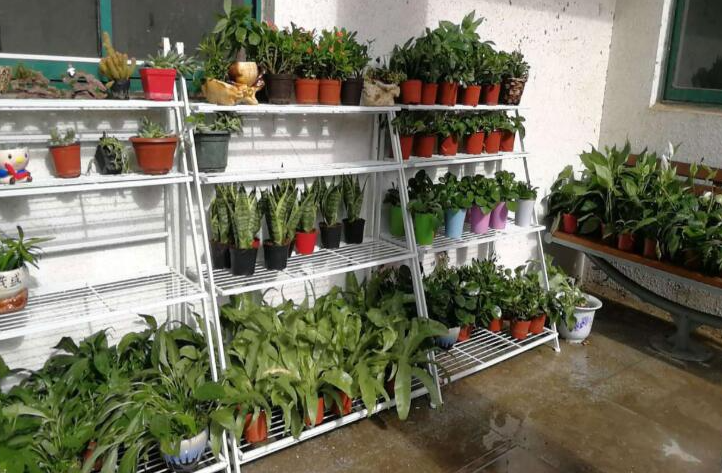 拆除違章建筑要走哪些程序？