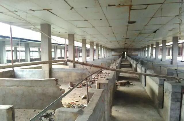 拆遷糾紛案之養(yǎng)殖廠法律問題解析