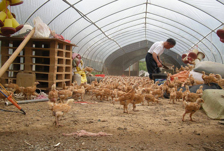 老百姓養殖場遇拆遷如何維護自己合法權益