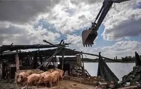 養(yǎng)殖廠拆遷糾紛案之法律問題解析