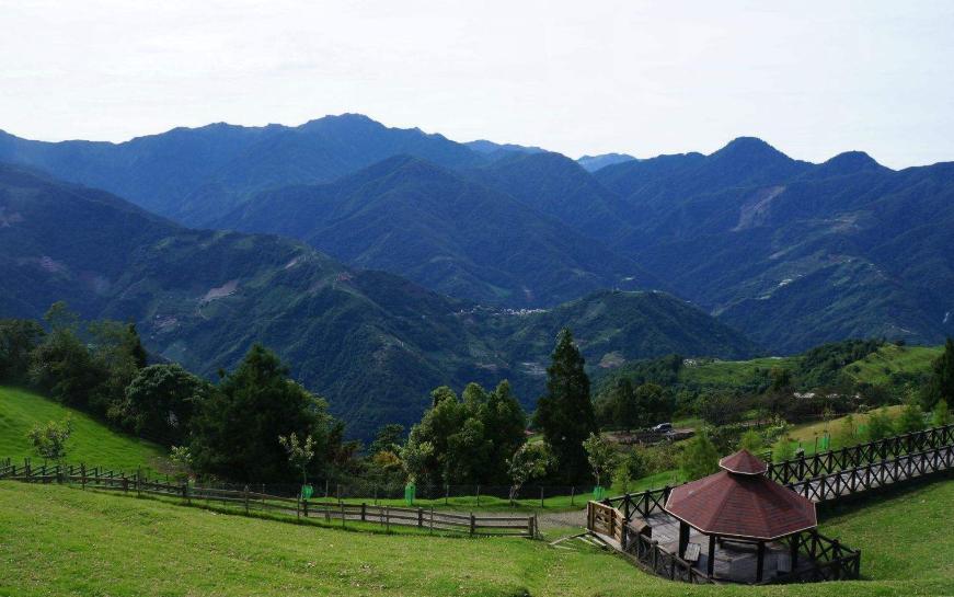 戶籍轉出后可以獲得林地補償嗎