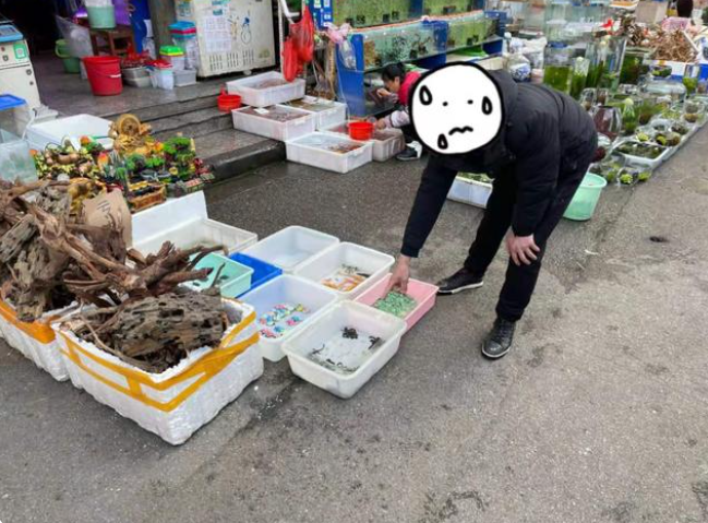 當街售賣國家二級保護動物犯什么罪？