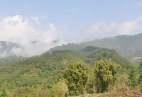 林地補償標準每畝價格是多少?