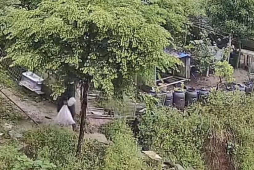 京云律師解讀:男子偷盜幼犬,因內疚主動投案 京云律師解讀:男子偷盜幼犬,因內疚主動投案