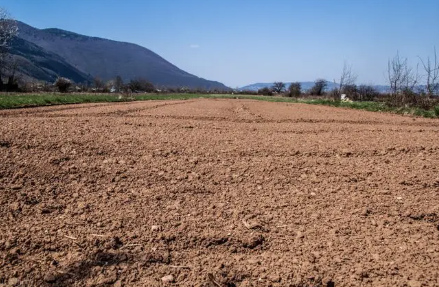 農村土地征地補償款歸誰所有