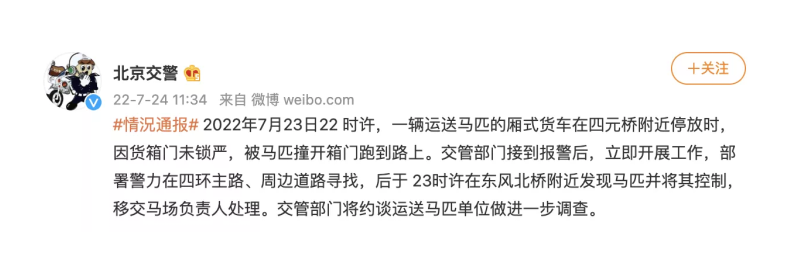 北京東四環出現馬匹？行車時突然遇到牲畜應該如何防范？