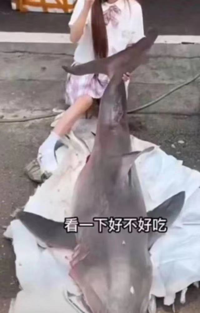 百萬粉絲網紅烹食鯊魚被調查！警方回應：是瀕危野生動物噬人鯊