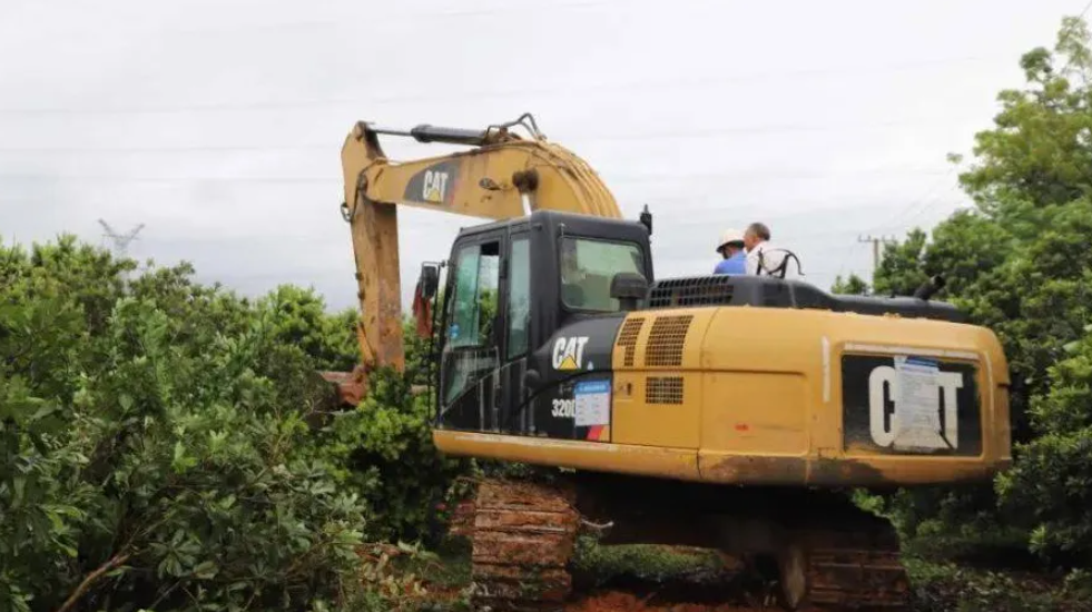 果樹征地補償新標準是多少？