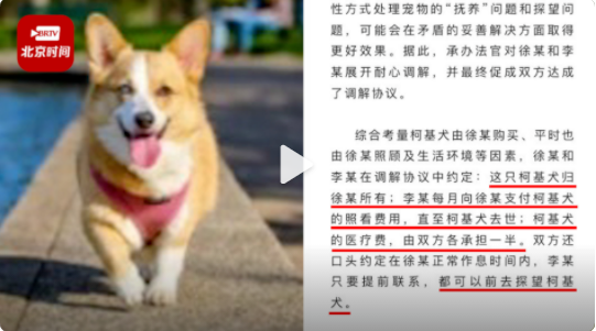 夫妻離婚不爭(zhēng)車房只爭(zhēng)寵物狗,法院這份判決有新意! 夫妻離婚不爭(zhēng)車房只爭(zhēng)寵物狗,法院這份判決有新意!