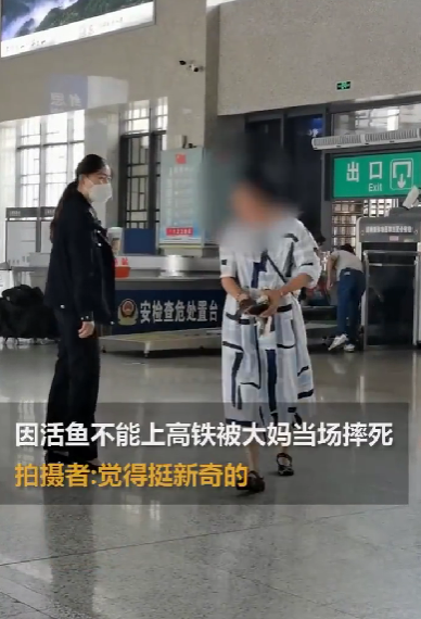 京云律師解讀：帶活魚坐高鐵被阻止，大媽當場摔死魚！車站：密封后可帶上車