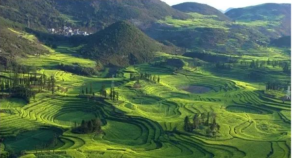 1000畝山林被鄰村強占,<a href=http://www.f7216.cn/team/ target=_blank class=infotextkey>京云律師</a>代理成功撤銷土地使用權確權事宜的告知 1000畝山林被鄰村強占,京云<a href=http://www.f7216.cn/team/ target=_blank class=infotextkey>律師</a>代理成功撤銷土地使用權確權事宜的告知