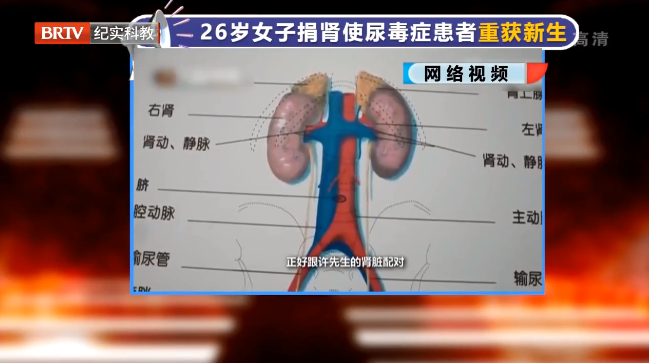 大愛無言！26歲女子捐腎使尿毒癥患者重獲新生，關于遺體捐獻，看看法律怎么說？