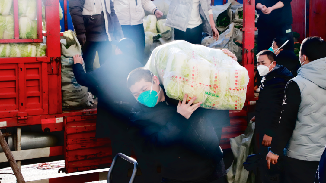 河南省夏邑縣駐京招才引智工作站(助農獻愛心幫扶菜農解憂愁) 河南省夏邑縣駐京招才引智工作站(助農獻愛心幫扶菜農解憂愁)