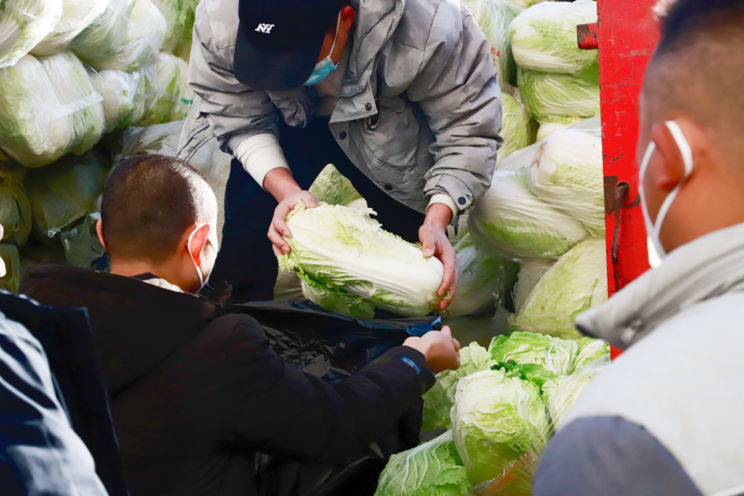 河南省夏邑縣駐京招才引智工作站(助農獻愛心幫扶菜農解憂愁) 河南省夏邑縣駐京招才引智工作站(助農獻愛心幫扶菜農解憂愁)