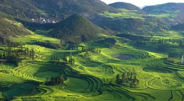 山東濟南勝訴案例：土地承包被責令拆除 法院判決撤銷被告決定