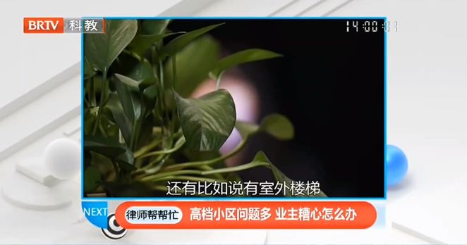 多名業主購買的豪華別墅收房時“問題百出”該怎么辦？