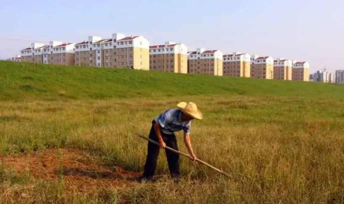 農村拆遷政府不公示是否違法違紀？