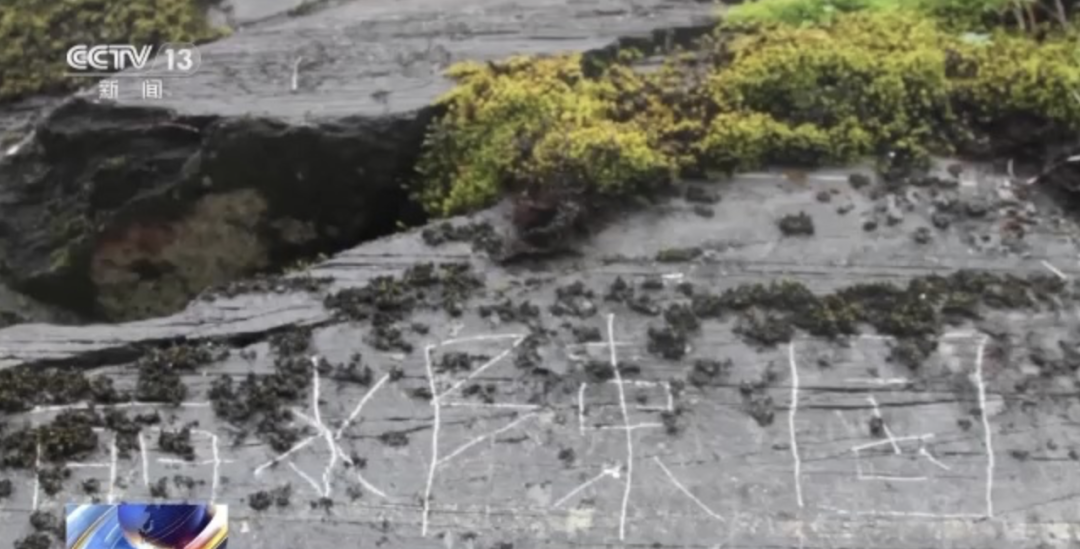 刻了4個字判賠12萬!這個案件給所有人都提了個醒 刻了4個字判賠12萬!這個案件給所有人都提了個醒