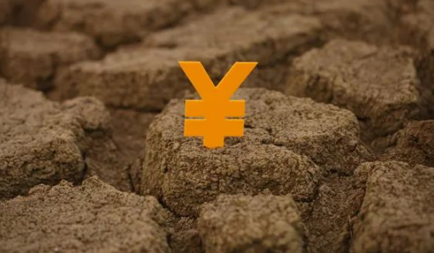 農村土地被強征索賠無門，被拆遷人是否可以找政府履行賠償責任？