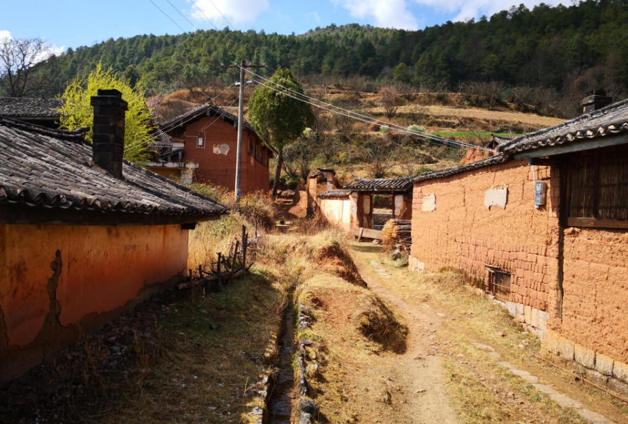 《民法典》涉及農村集體、承包地、宅基地等條文匯總