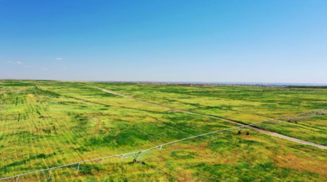 政府在法定起訴期限內強拆村民違建房屋，法院：違法！