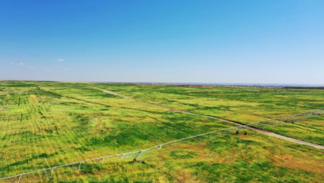 京云律師事務所介入漢川某房地產開發有限公司對抗政府索賠一案