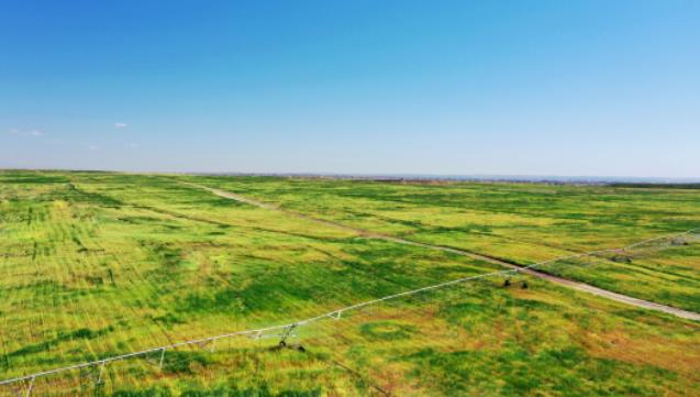 【京云拆遷律師】京云律師代理安徽合肥確認行政強制拆除行為違法一案二審上訴成功