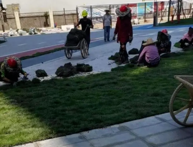 樓盤面積不夠，開發商鋪草坪充數，作為購房者買的房子與收房時不一致怎么辦？