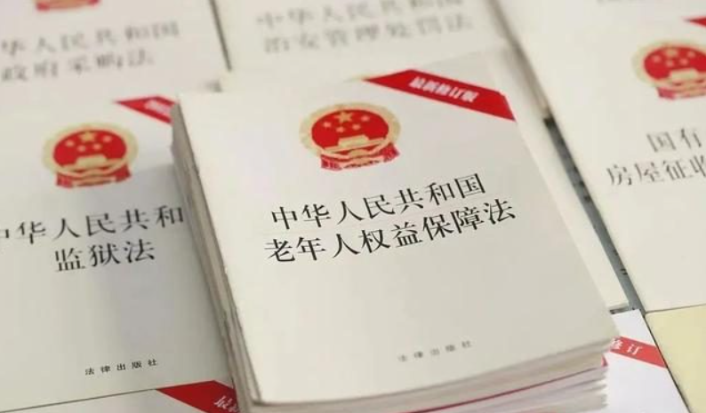 智力殘疾的成年子女是否承擔贍養義務